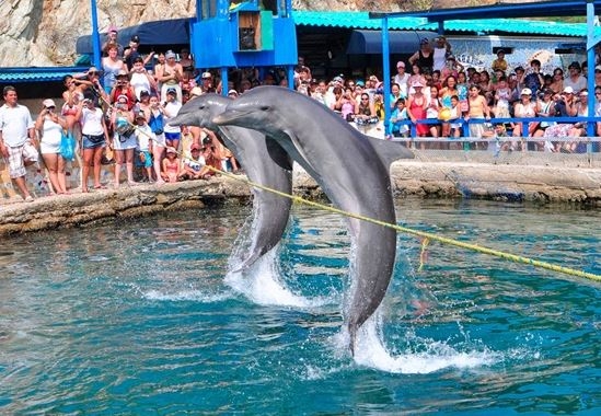 Acuario Mundo Marino